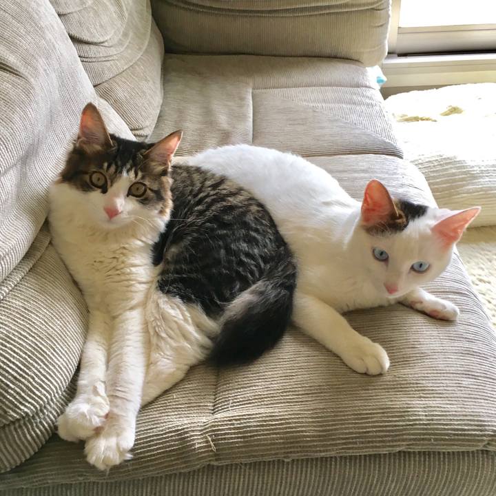 B14960e3 13a8 46ab 95f5 1d64c5bcb7fb