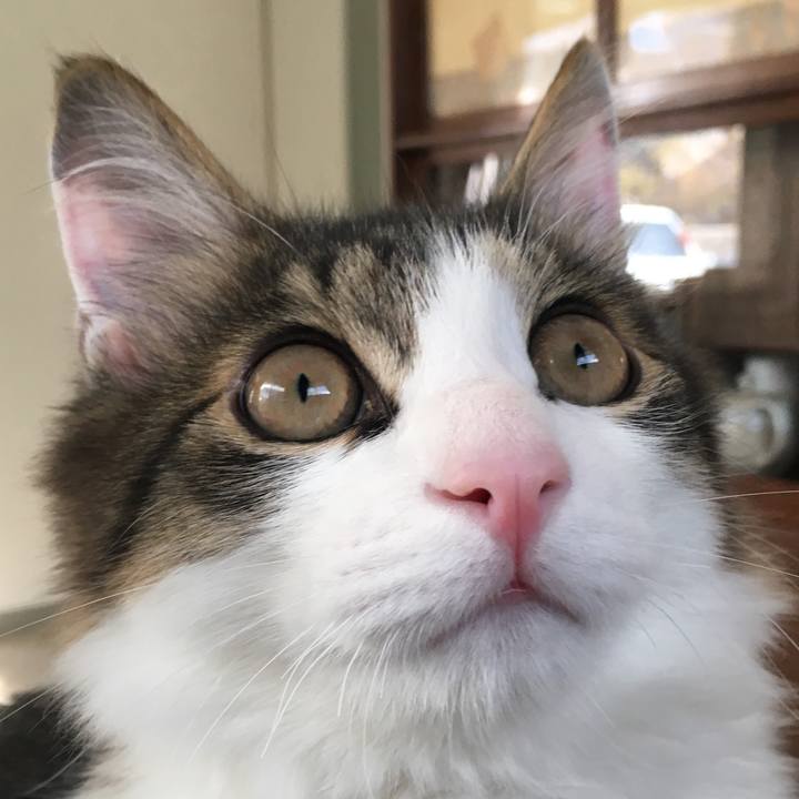 B149c933 5ca0 4caa adad f5e33da6930a