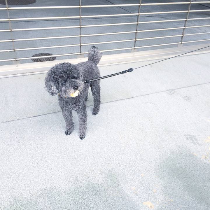 B149e7e8 0f8c 4283 ae58 cd4b8512d27f