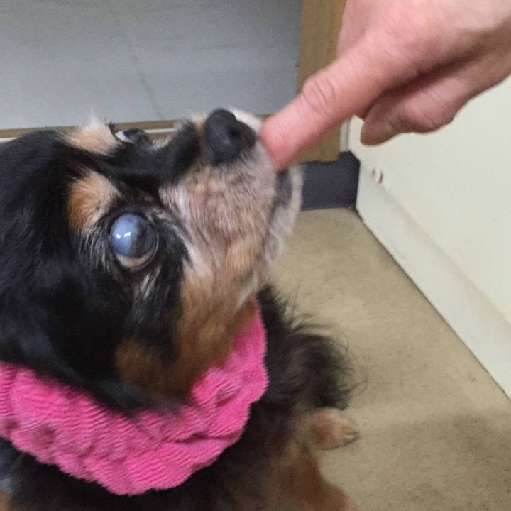 B14a469e 4265 4b8a bff5 e70900b893da