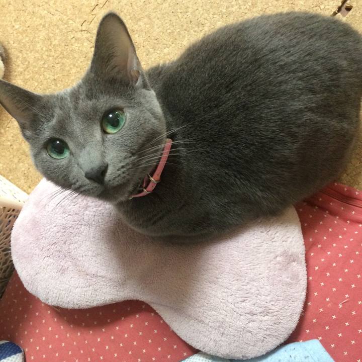 B14a7f97 5aa3 4cba ae4c 6d765b58e5cf