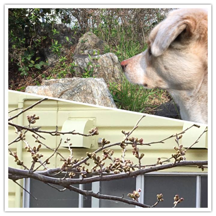 B14b218d 3c97 4b87 889e 6067403f5f90