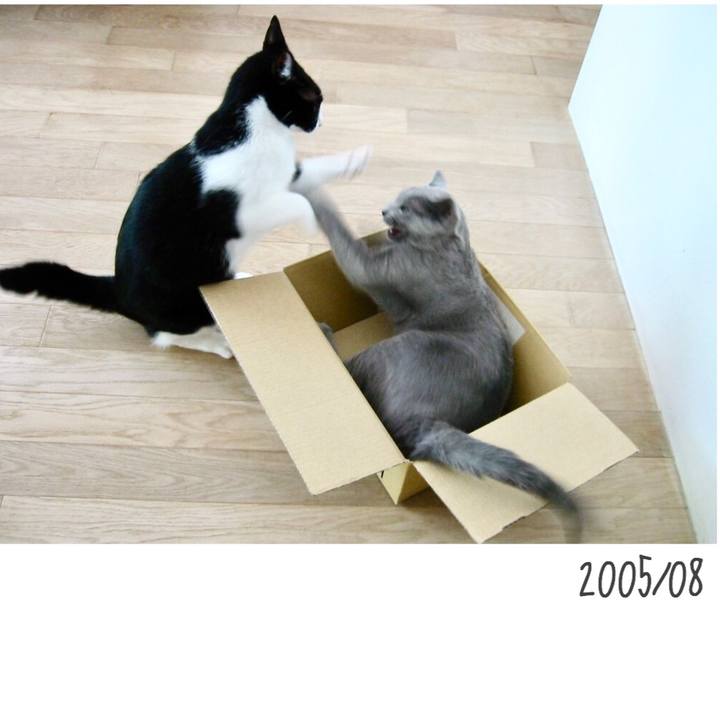 B14b3778 bd62 4bb2 b549 cab415242513