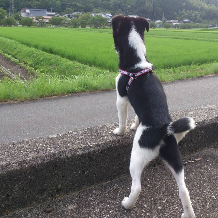 B14ba458 1bd9 465e 812d eb9ecbf9ed3e