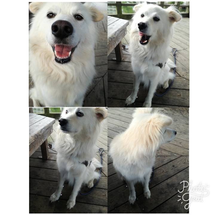 B14d1d36 3d29 4ae5 94b1 be9db6ddc449