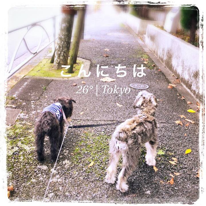 B14d1fe2 bfeb 4674 9b32 7b934c40c3c3