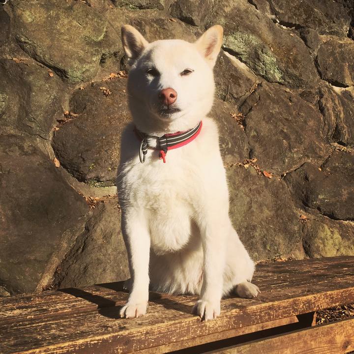 B14d3dfc d1a4 429d a1be 872366e94244