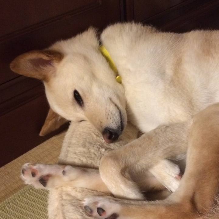 B14e6326 1dc9 4dbe 8073 e6f1931ff6a0