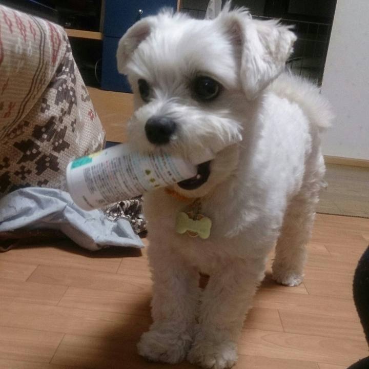 B14ea316 6dd9 4dd9 ba5a 7fd232d6f47e