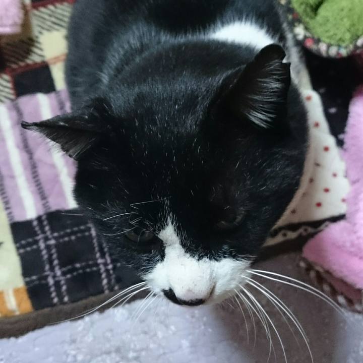 B14ecec9 c657 46de 963f 40390afb1ce7