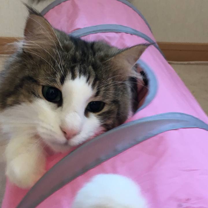 B14f8671 5a40 4f7c aecf 0ead6488e732