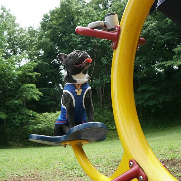 B14fde39 37b1 4f3b 9ce9 70578fd0c7ba