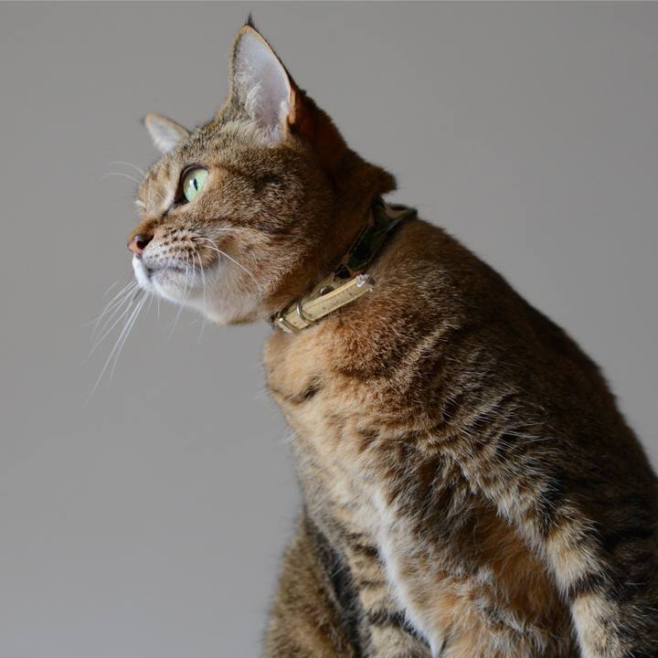 B1504608 116b 44e4 84fa aa562fb66e52