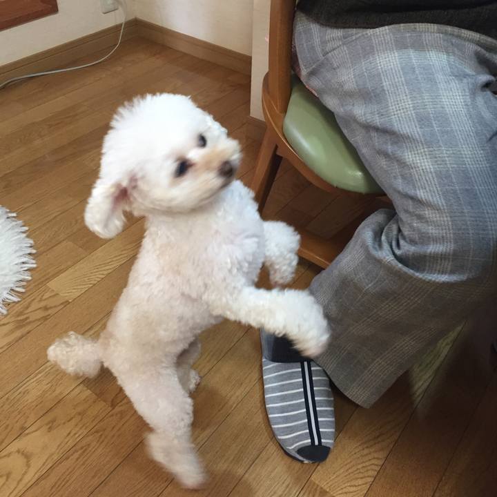 B150feeb fbca 4e64 83f6 16eb845a54a5