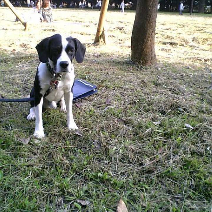 B1515b7e ba7b 493e 92a0 4a3b657a159a