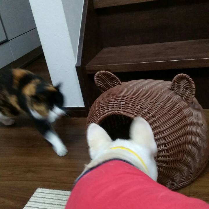 B1516cd8 c935 4d62 99e7 0156cbe2fb71