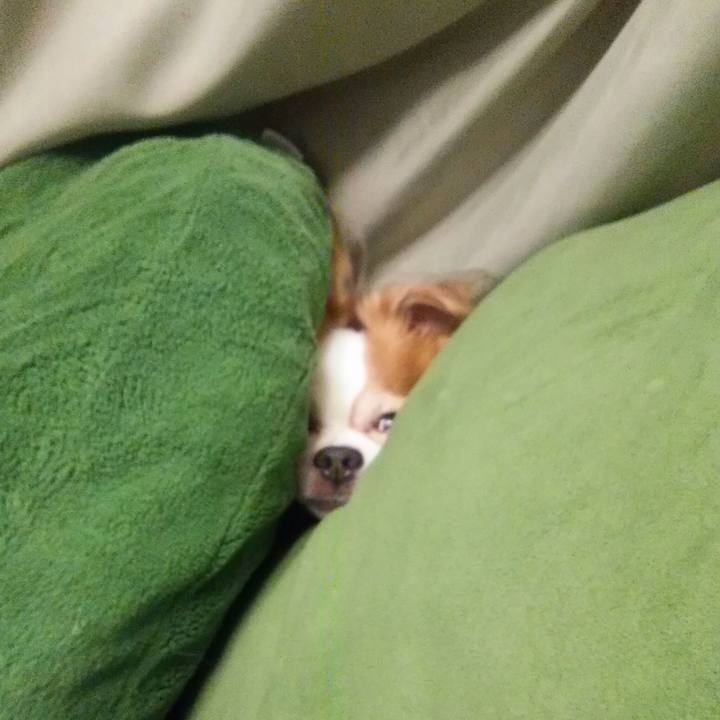 B1516dc7 2091 44ac 8975 b50d0a0be3dc