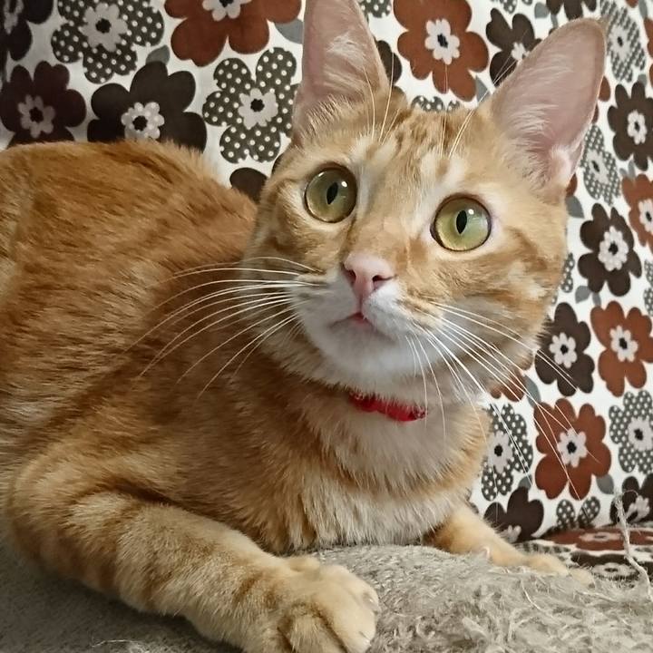 B152329b dcc5 4b67 9102 d6795fa0d685