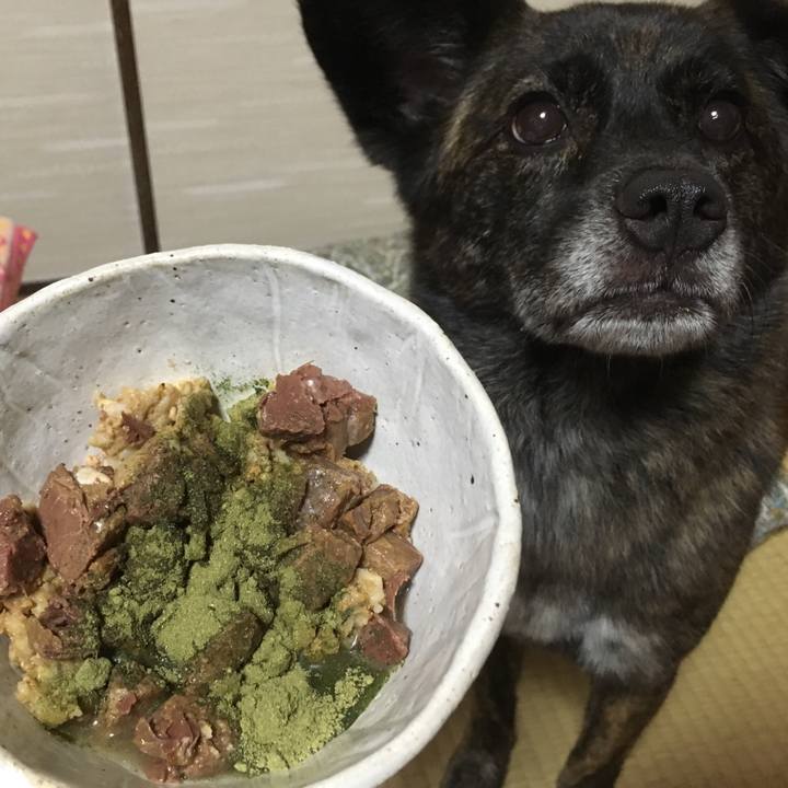 B1528ba7 4e63 42cb a822 d287288c7988