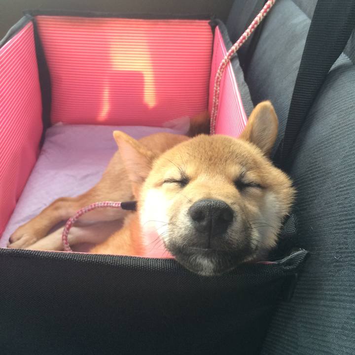 B152ca43 4285 4c90 b445 d0113f45e69e