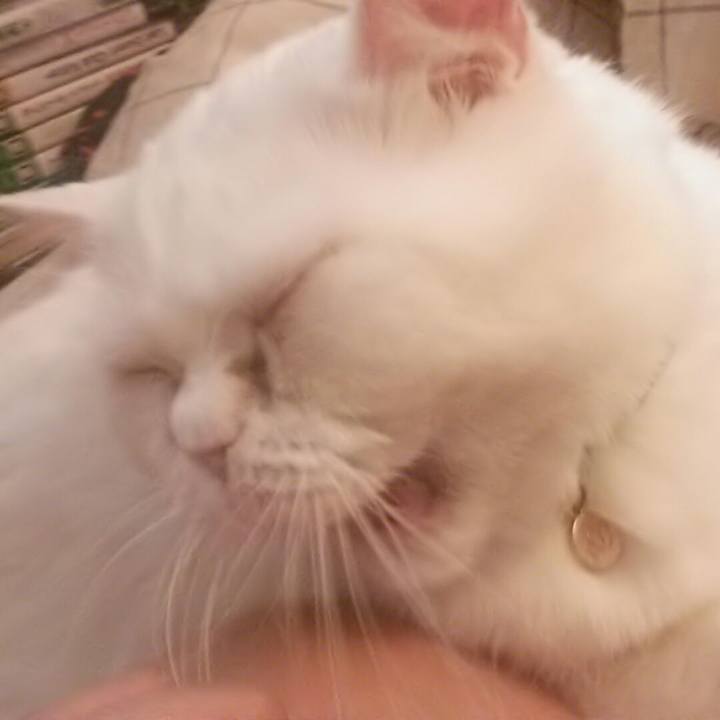 B153bb4d 718a 440e a6fd 154ff23f7a57