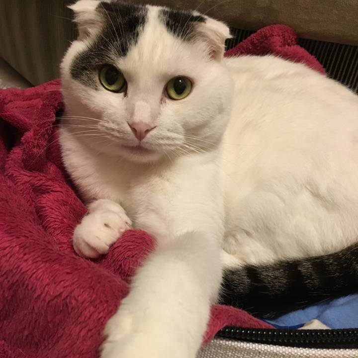 B1540266 5c96 451e 8fe0 3449e17345ee