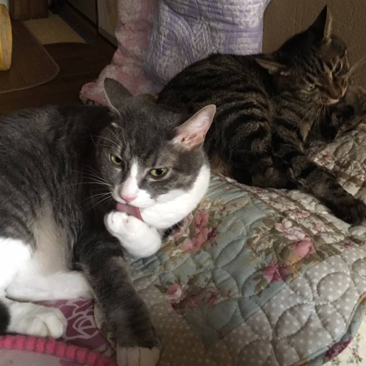 B1541cee a442 47c1 b5c5 faab4f6e842d