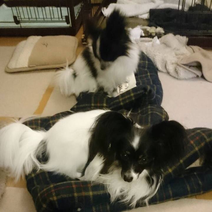 B154a39b e5f3 4b13 a976 0bd7a86b5210