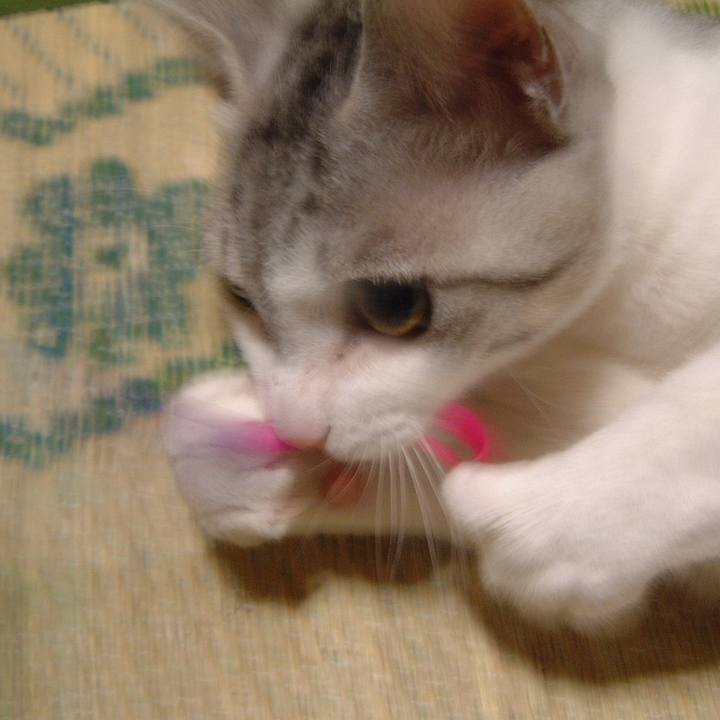 B154d0a5 dd1e 4d2e a70a 428b2ebd7481