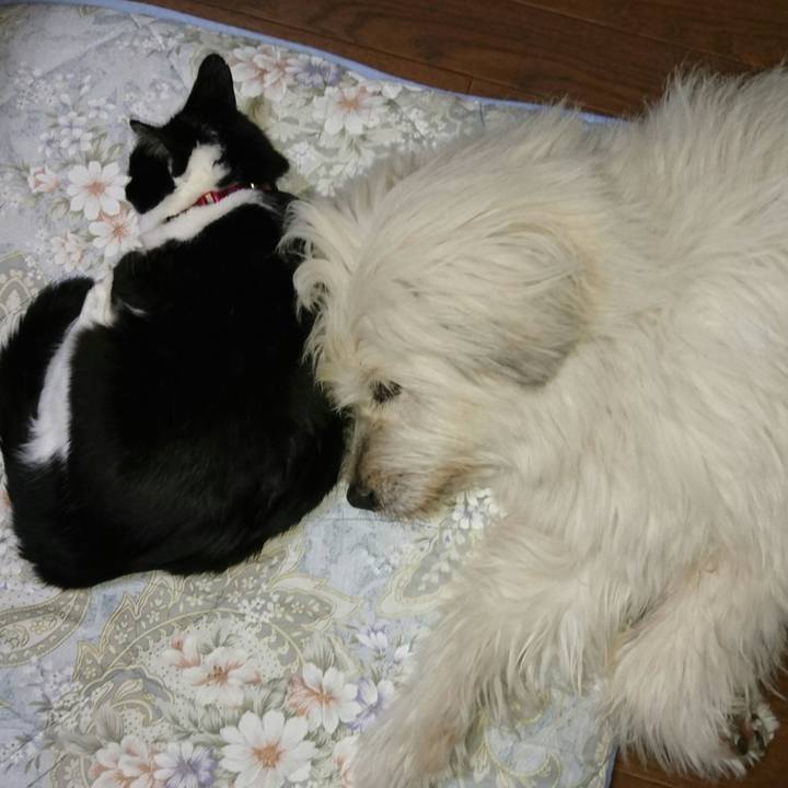 B15566d6 adf4 44d5 ad86 272c99efd97e