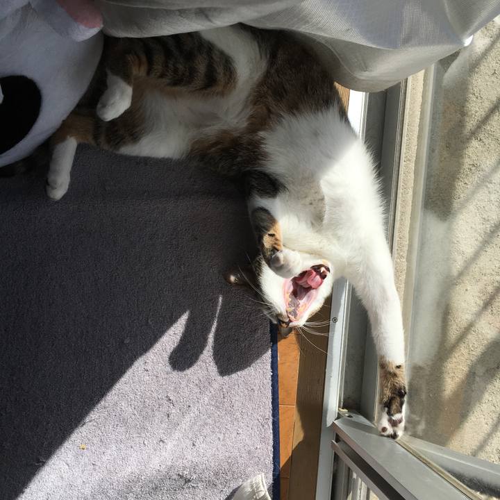 B1556a72 df69 4d2c b1e2 ac9cccc9510d