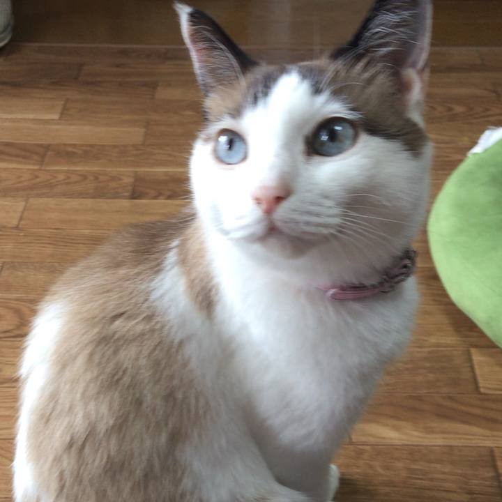 B1558c3d e109 4b65 ae51 1a876c0b007a