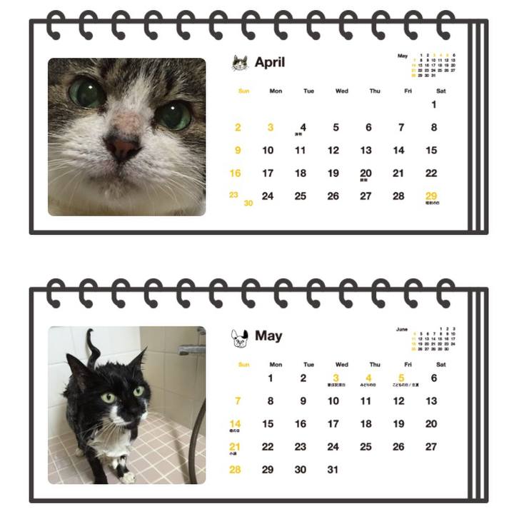 B155c680 3885 4906 a45d 93a27c524971