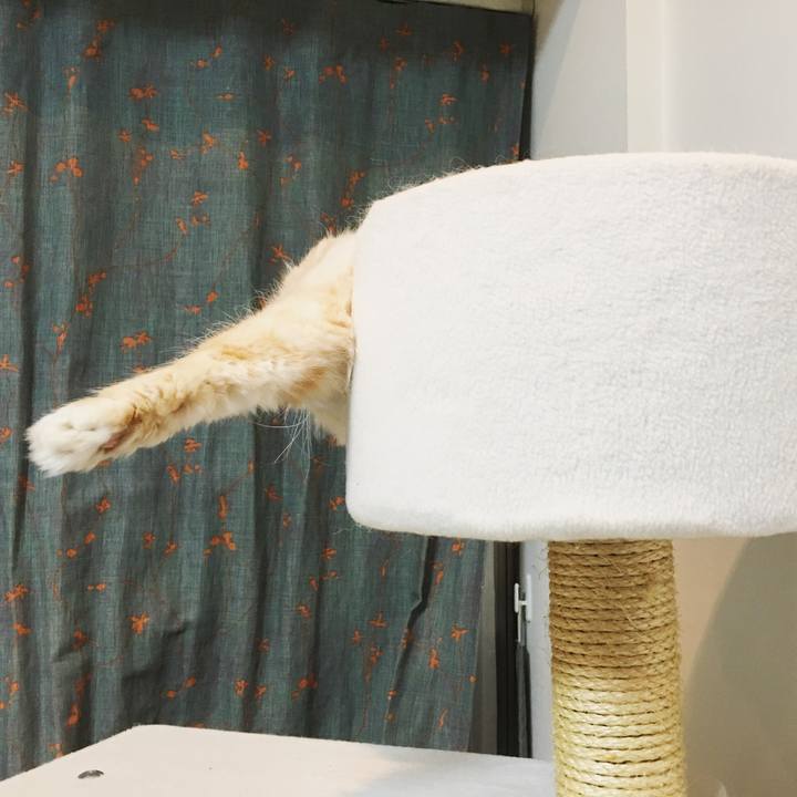 B1561e1b d420 4ac2 a991 cc652fe20d6f