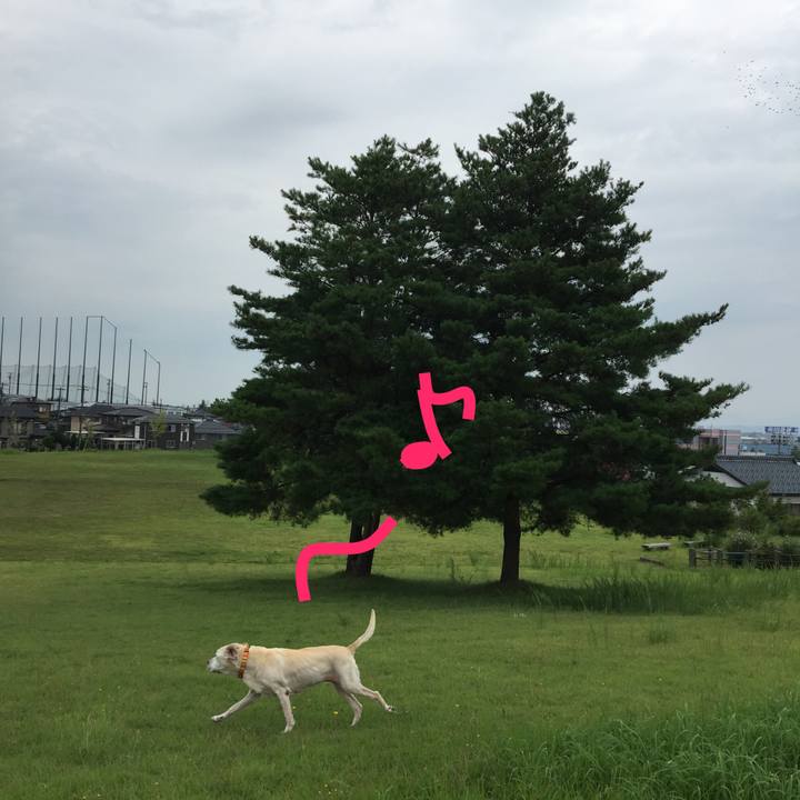 B1562ae2 5743 415c a9dc 0853857b33f9