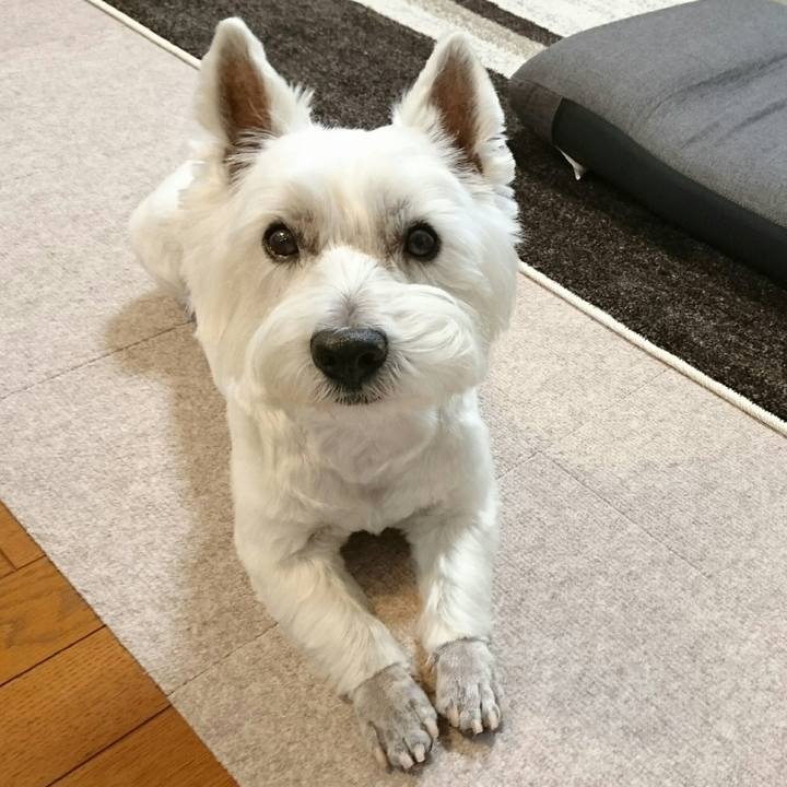 B15638ac 2bd9 42bb b882 ade5a45b6ecf