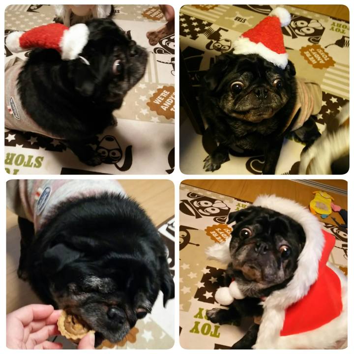 B1565cfa 71be 4af2 9856 617125a0ce51