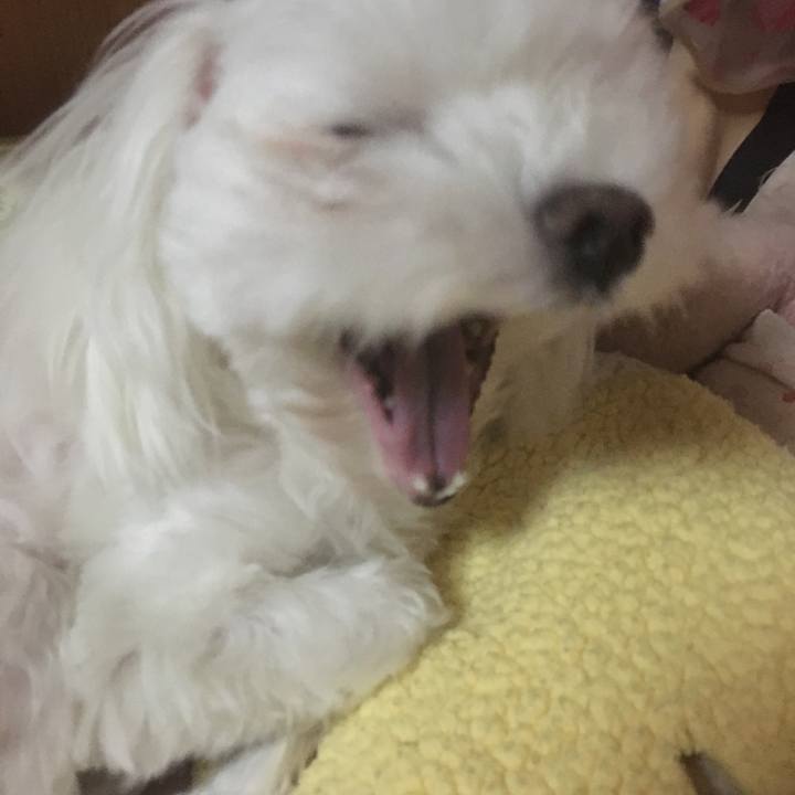 B15665c3 c668 4273 b53b f1418c7cf9d5