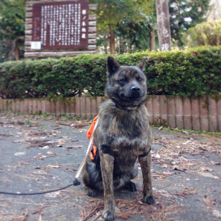 B15722c2 98f8 44e6 b463 7d1f76807498