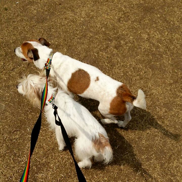 B1577baa a3ce 4ef2 bd04 0d720ee2b581