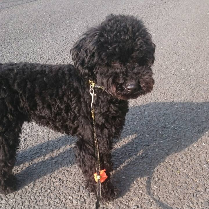 B15846d6 4e3d 43e1 a778 ccb308da8f08