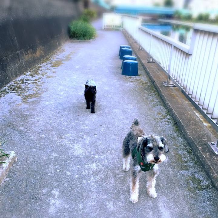 B15852da 0424 48cc 81bc b70e1f605a9c