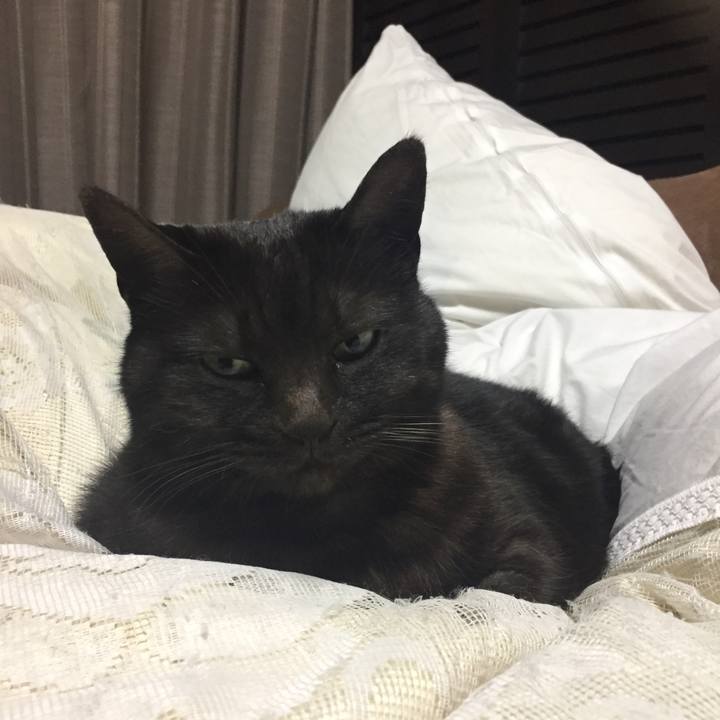 B158cee0 3c3a 4e8a b312 0e5e85a0280a