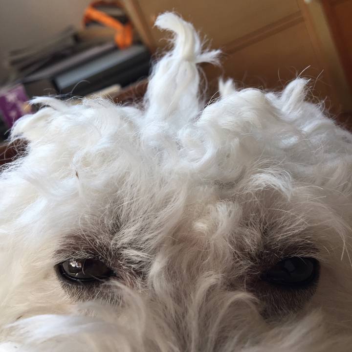 B159530a 85b4 4013 8186 801408c90576