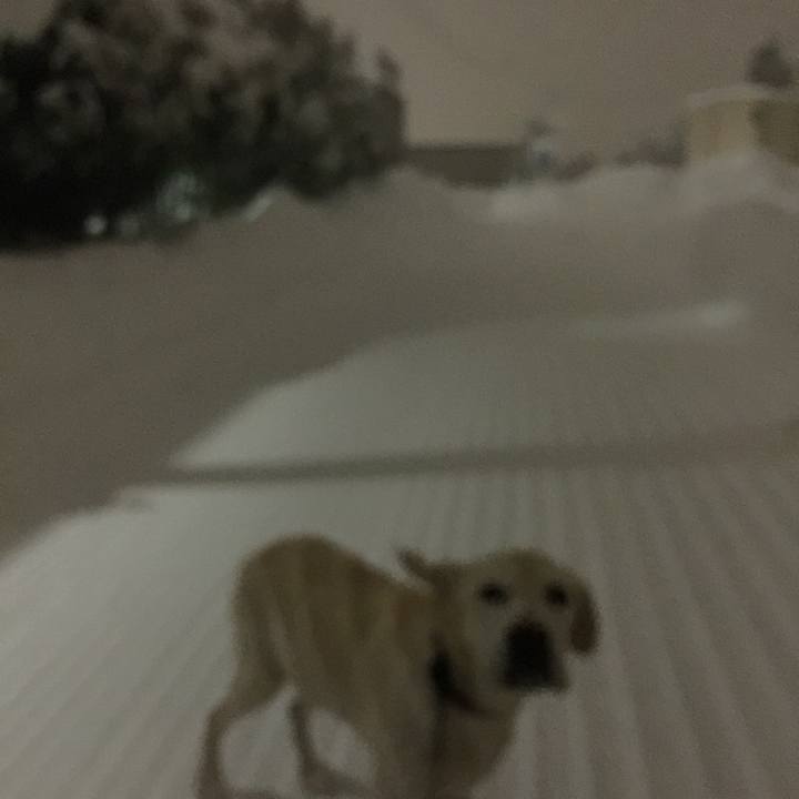 B159be49 128e 4686 9709 ac3d523ffd81