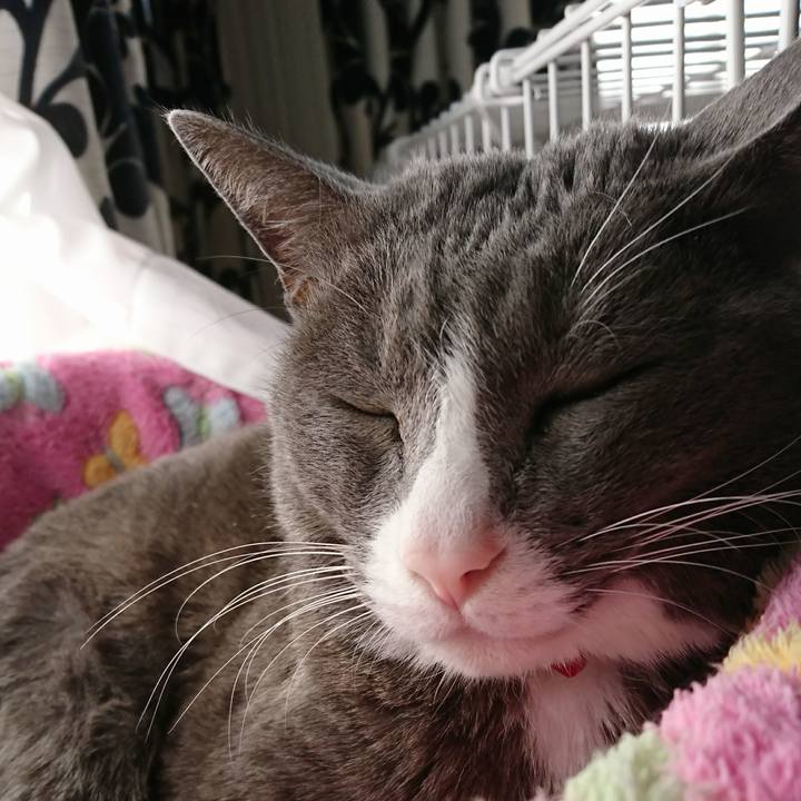 B159c10e feef 413a 84fd 1e7c15396ce4