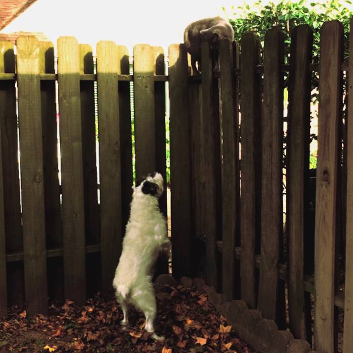 B159ed99 d044 4f4d a631 d9323443553a