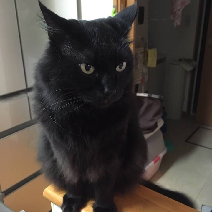 B15a520e 74be 408f be18 f83061fe761a