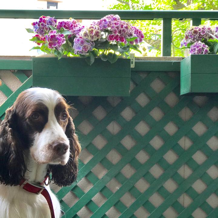 B15a8750 1cbc 4bfc 9fd4 11dc18d9d019