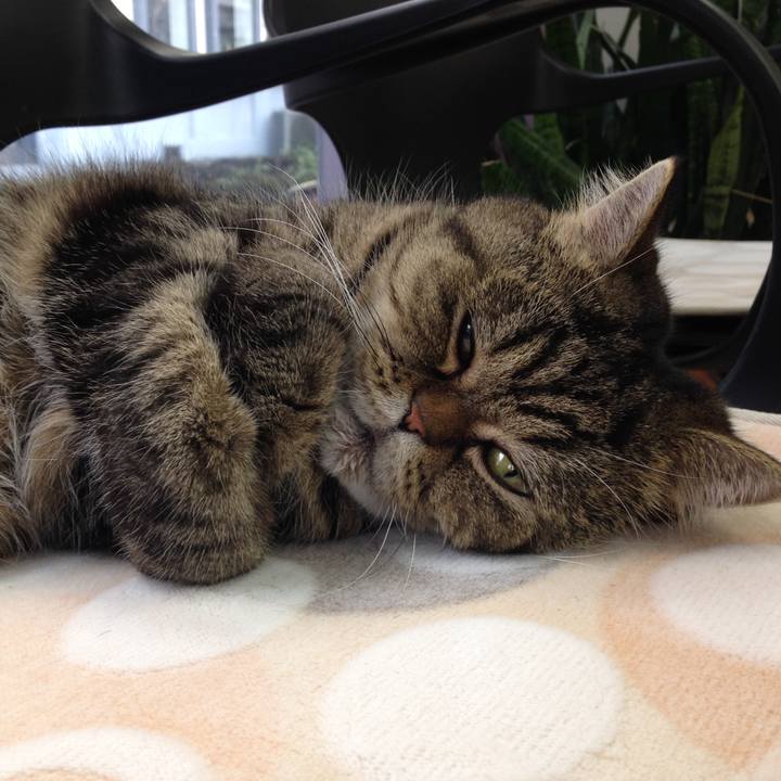 B15bbeda f3d5 4cdc af61 391a75bf47f4